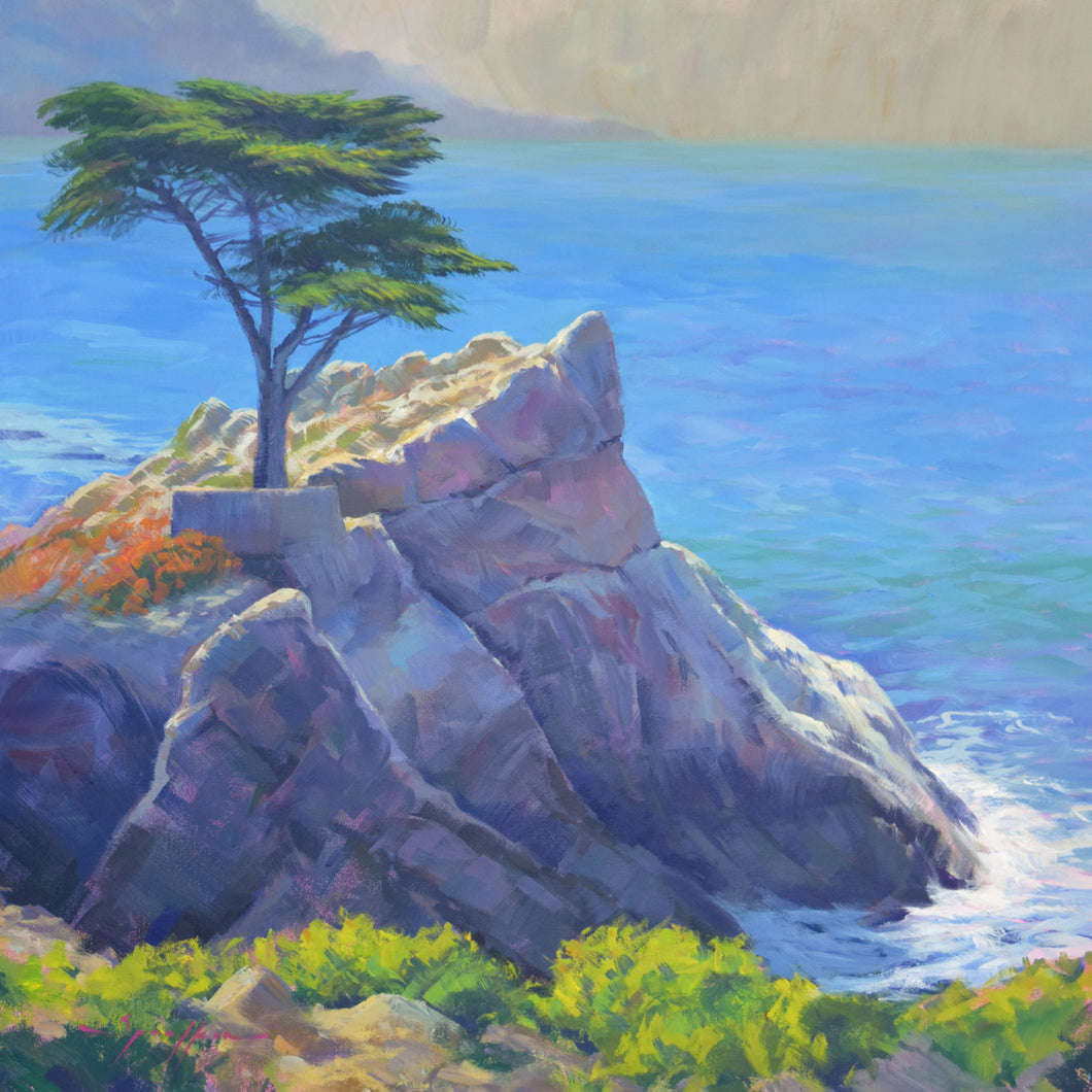 Lone Cypress Tree California 24x24 inch Painting by Edward Sprafkin